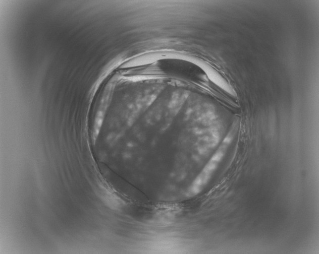 X0000051900099200507222052