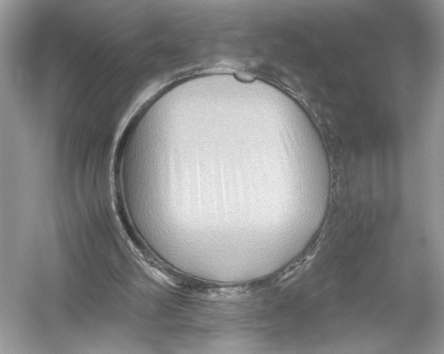 X0000051900102200507222052