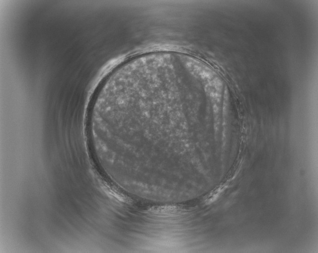 X0000051900104200507222052