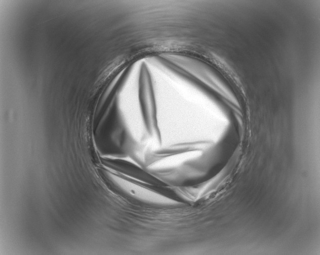 X0000051900105200507222052