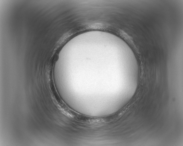 X0000051900106200507222052