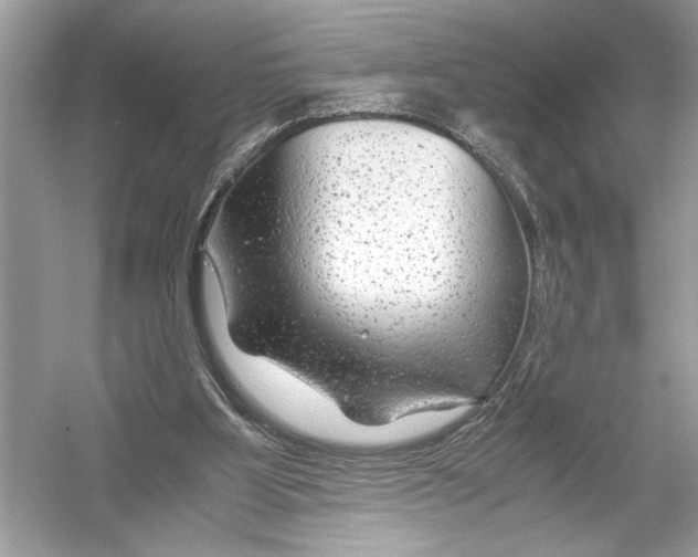 X0000051900107200507222052