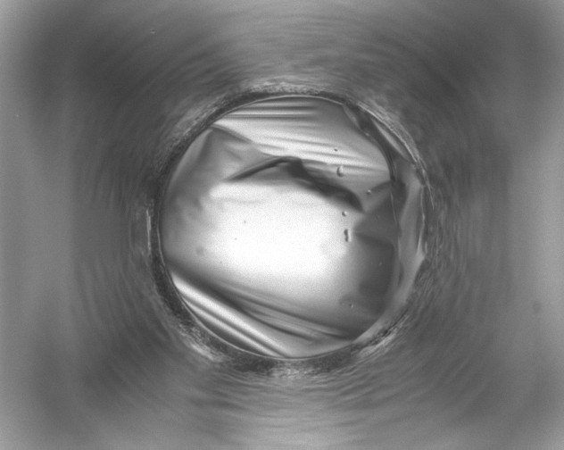X0000051900109200507222052