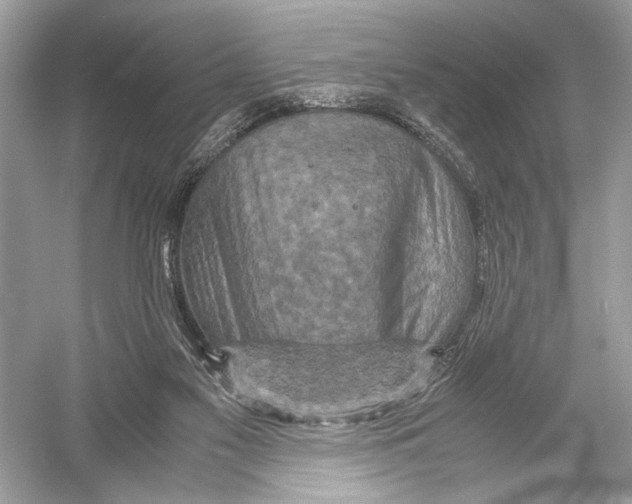 X0000051900117200507222052