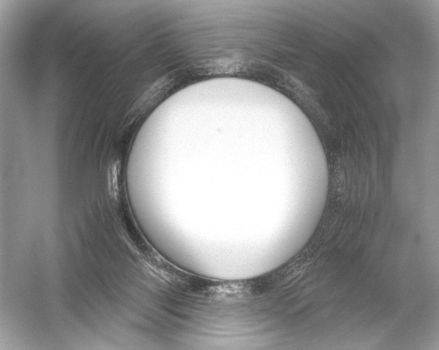 X0000051900118200507222052