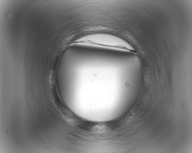 X0000051900119200507222052