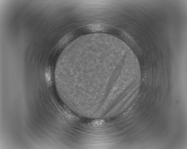 X0000051900124200507222052