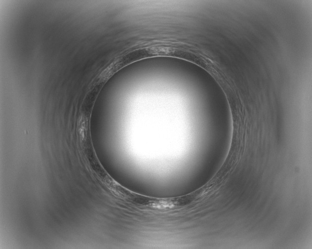 X0000051900125200507222052