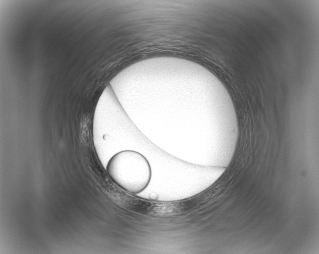 X0000051900127200507222052