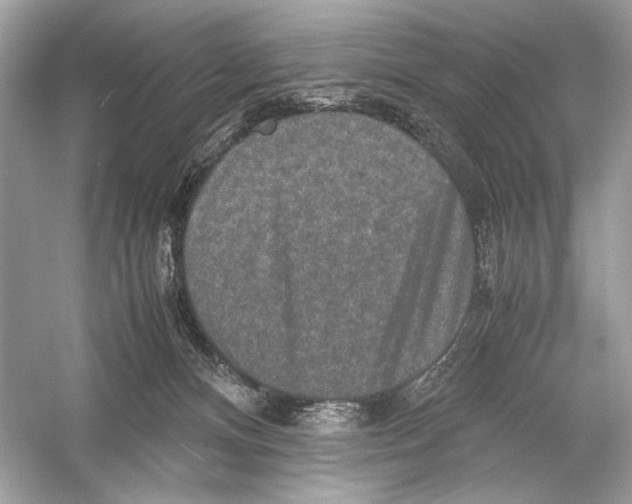 X0000051900128200507222052