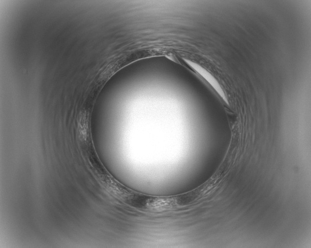 X0000051900129200507222052