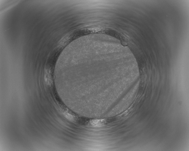 X0000051900136200507222052
