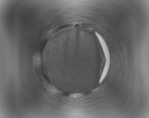 X0000051900137200507222052