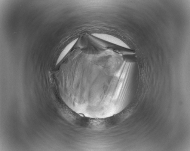 X0000051900139200507222052
