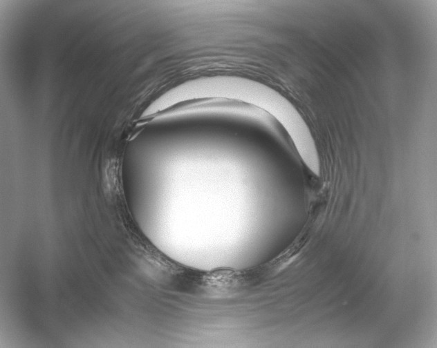 X0000051900141200507222052