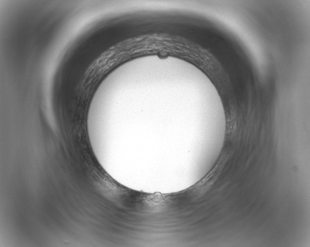X0000051900142200507222052