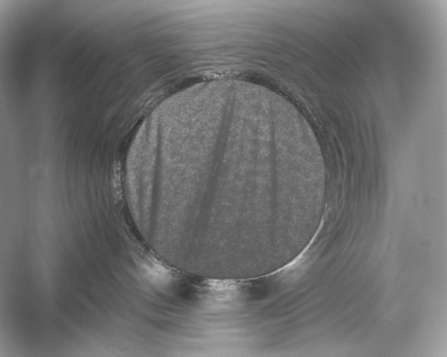 X0000051900144200507222052
