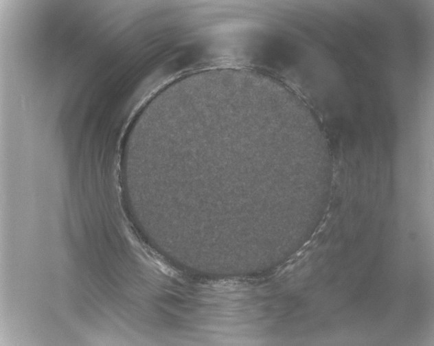 X0000051900146200507222051