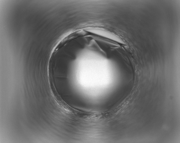 X0000051900148200507222051