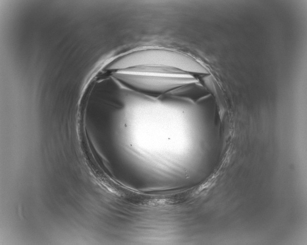 X0000051900152200507222051