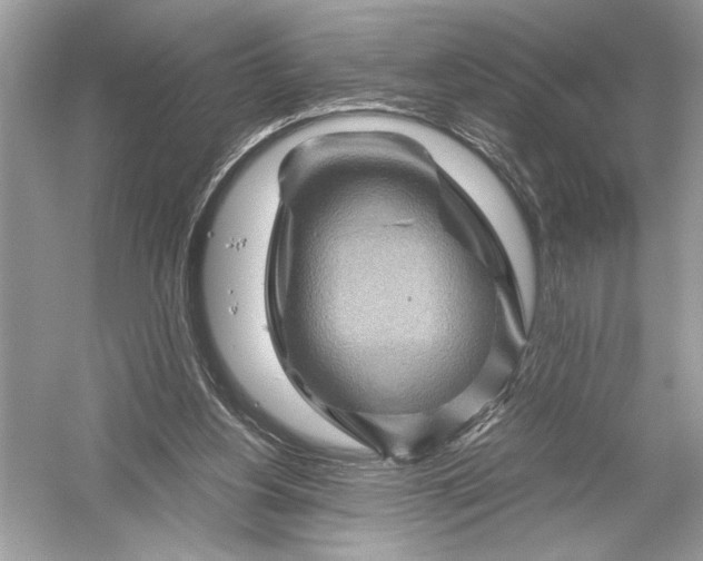 X0000051900156200507222051