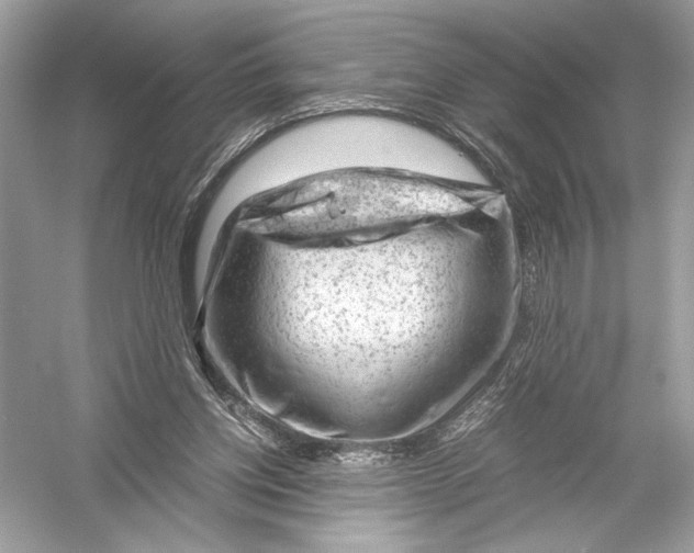 X0000051900158200507222051