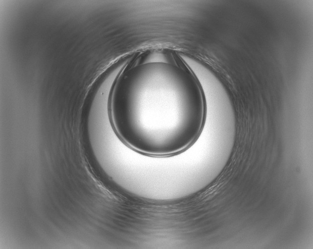 X0000051900160200507222051