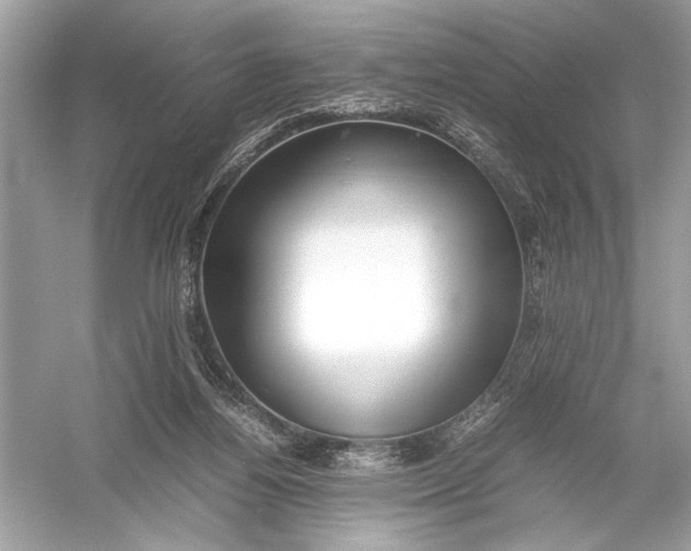 X0000051900164200507222051