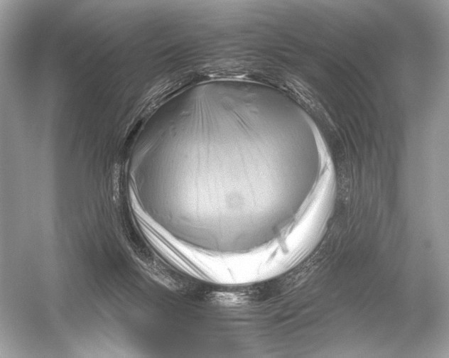 X0000051900167200507222051