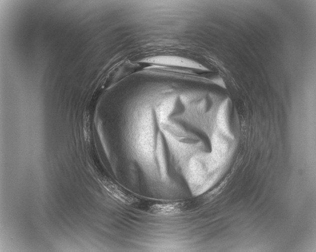 X0000051900170200507222051