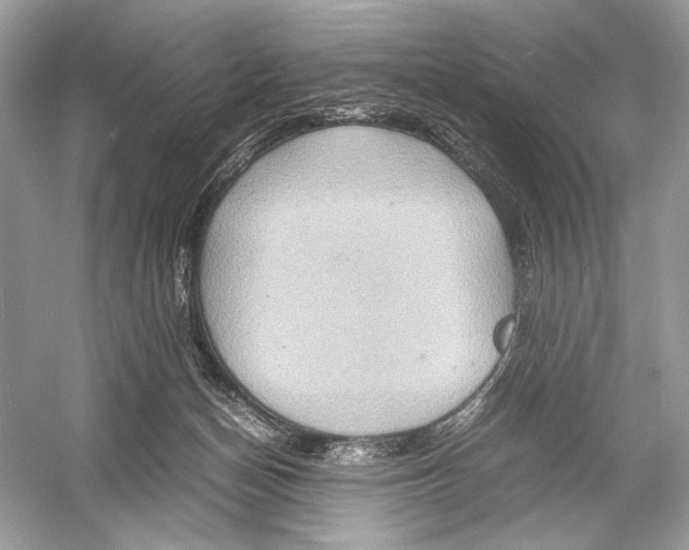 X0000051900174200507222051