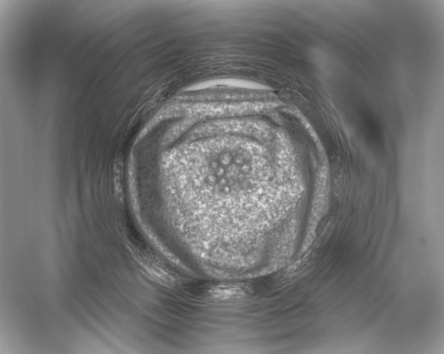 X0000051900175200507222051
