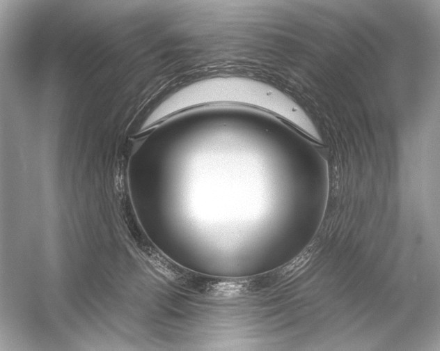 X0000051900176200507222051