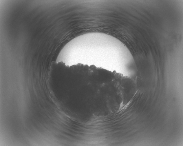 X0000051900179200507222051