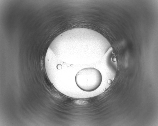 X0000051900183200507222051