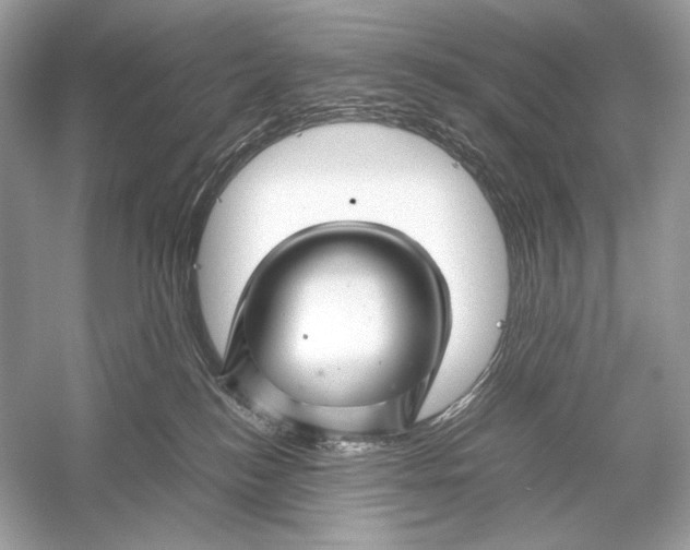 X0000051900184200507222051