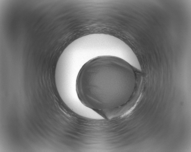 X0000051900186200507222051