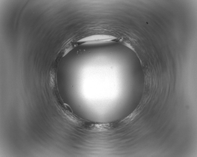 X0000051900188200507222051