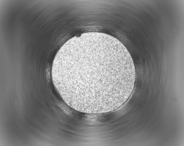 X0000051900190200507222052