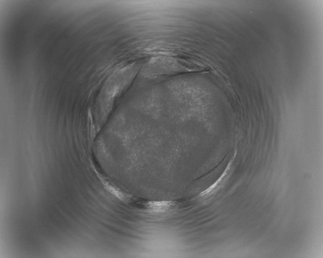 X0000051900192200507222052
