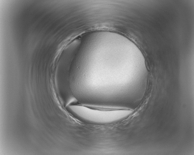X0000051900193200507222051