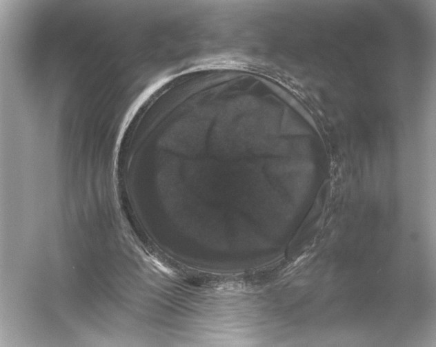X0000051900200200507222051