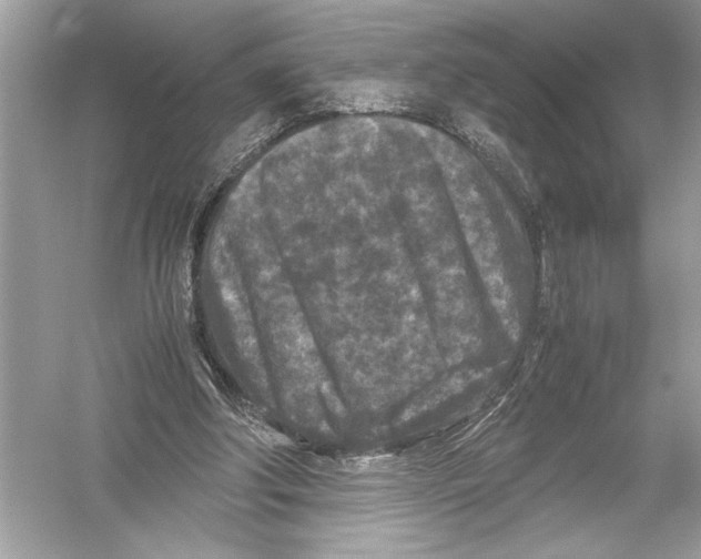 X0000051900202200507222051