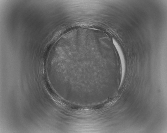 X0000051900205200507222051
