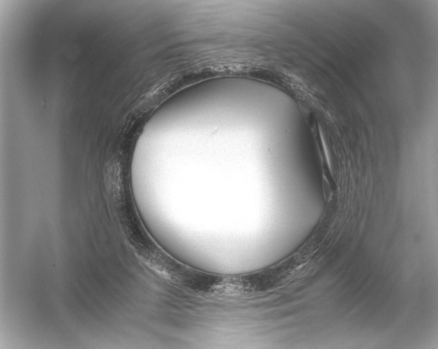 X0000051900211200507222050