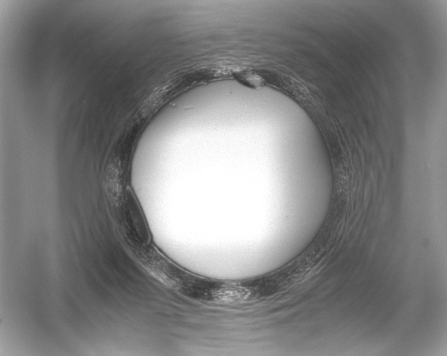 X0000051900215200507222050