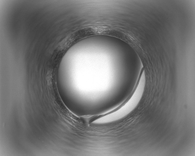 X0000051900221200507222050
