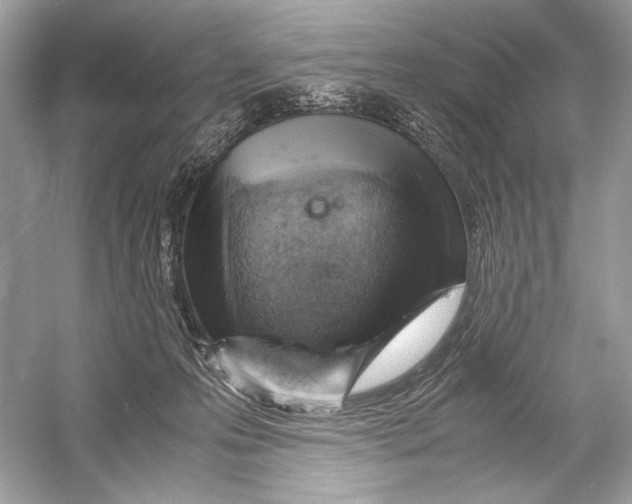X0000051900223200507222050