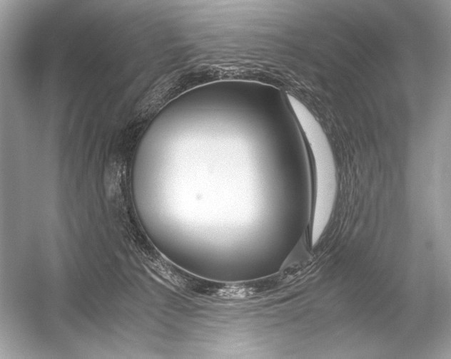 X0000051900225200507222050