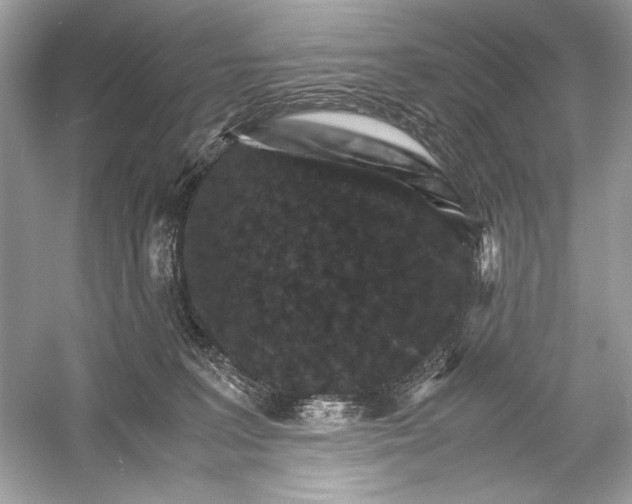 X0000051900227200507222050